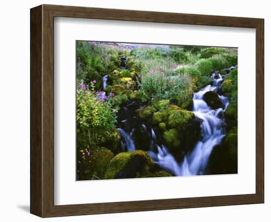 View of Waterfall in Forest, Oregon, USA-Stuart Westmorland-Framed Photographic Print