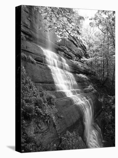 View of Waterfall, Jessamine County, Kentucky, USA-Adam Jones-Stretched Canvas