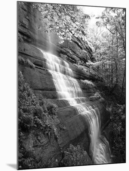 View of Waterfall, Jessamine County, Kentucky, USA-Adam Jones-Mounted Premium Photographic Print