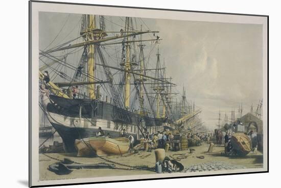 View of West India Docks from the South East, 1840-William Parrott-Mounted Giclee Print