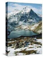 View of Wetterhorn Mountain and Bachsee Lake, Bernese Alps, Grindelwald, Switzerland-Scott T. Smith-Stretched Canvas