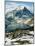 View of Wetterhorn Mountain and Bachsee Lake, Bernese Alps, Grindelwald, Switzerland-Scott T. Smith-Mounted Photographic Print