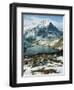 View of Wetterhorn Mountain and Bachsee Lake, Bernese Alps, Grindelwald, Switzerland-Scott T. Smith-Framed Photographic Print