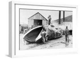 View of Whale Hunters Trimming Whale Fat - Alaska-Lantern Press-Framed Art Print