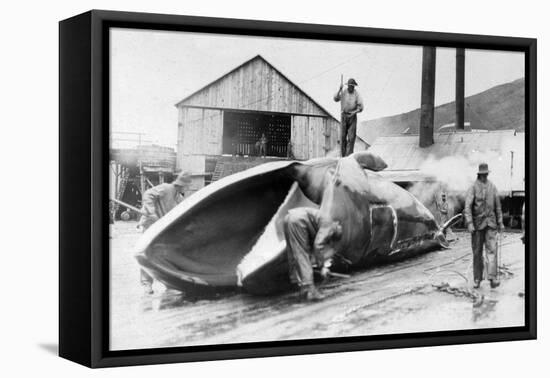 View of Whale Hunters Trimming Whale Fat - Alaska-Lantern Press-Framed Stretched Canvas