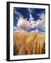 View of Wheat Field, Palouse, Washington State, USA-Stuart Westmorland-Framed Photographic Print