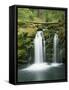 View of Whitehorse Falls, Umpqua National Forest, Oregon, USA-Dennis Flaherty-Framed Stretched Canvas