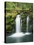 View of Whitehorse Falls, Umpqua National Forest, Oregon, USA-Dennis Flaherty-Stretched Canvas