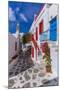 View of whitewashed cobbled street, Mykonos Town, Mykonos, Cyclades Islands, Aegean Sea-Frank Fell-Mounted Photographic Print