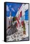 View of whitewashed cobbled street, Mykonos Town, Mykonos, Cyclades Islands, Aegean Sea-Frank Fell-Framed Stretched Canvas