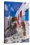 View of whitewashed cobbled street, Mykonos Town, Mykonos, Cyclades Islands, Aegean Sea-Frank Fell-Stretched Canvas