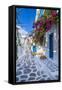 View of whitewashed narrow street, Mykonos Town, Mykonos, Cyclades Islands, Aegean Sea-Frank Fell-Framed Stretched Canvas