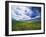 View of Wild Mustard Flowers Field, Washington, USA-Adam Jones-Framed Premium Photographic Print