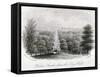 View of Windsor Castle from Windsor Great Park, Berkshire, 1860-null-Framed Stretched Canvas