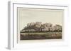 View of Windsor-Joseph Stadler-Framed Art Print