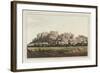 View of Windsor-Joseph Stadler-Framed Art Print