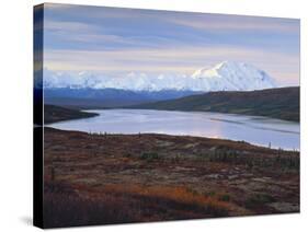 View of Wonder Lake with Mt. Mckinley, Denali National Park, Alaska, USA-Hugh Rose-Stretched Canvas