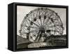 View of Wonder Wheel Ride at Coney Island-null-Framed Stretched Canvas