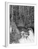 View of Yellowstone Firehole River Falls, Yellowstone National Park, Wyoming, USA-Scott T^ Smith-Framed Premium Photographic Print