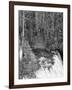 View of Yellowstone Firehole River Falls, Yellowstone National Park, Wyoming, USA-Scott T^ Smith-Framed Photographic Print