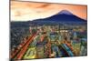 View of Yokohama and Mt. Fuji in Japan.-SeanPavonePhoto-Mounted Photographic Print