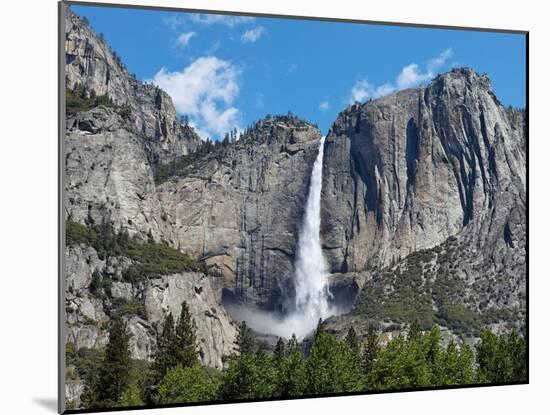 View of Yosemite Falls in Spring, Yosemite National Park, California, USA-null-Mounted Premium Photographic Print