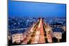 View on Avenue Des Champs-Elysees from Arc De Triomphe at Night Paris, France-Michal Bednarek-Mounted Photographic Print