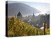 View on Bacharach with Peters Church and River Rhine, Rhineland-Palatinate, Germany-Peter Adams-Stretched Canvas