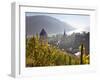 View on Bacharach with Peters Church and River Rhine, Rhineland-Palatinate, Germany-Peter Adams-Framed Photographic Print