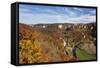 View on Burg Wildenstein Castle and Danube Valley in Autumn-Markus-Framed Stretched Canvas