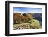 View on Burg Wildenstein Castle and Danube Valley in Autumn-Markus-Framed Photographic Print