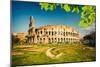 View on Colosseum in Rome, Italy-sborisov-Mounted Photographic Print