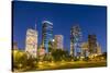 View on Downtown Houston by Night-Jorg Hackemann-Stretched Canvas