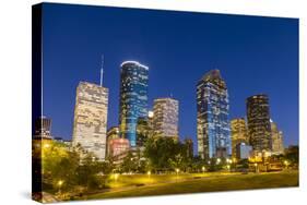 View on Downtown Houston by Night-Jorg Hackemann-Stretched Canvas