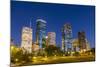 View on Downtown Houston by Night-Jorg Hackemann-Mounted Photographic Print