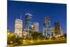 View on Downtown Houston by Night-Jorg Hackemann-Mounted Photographic Print