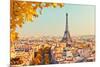 View on Eiffel Tower at Sunset, Paris, France-S Borisov-Mounted Photographic Print