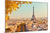 View on Eiffel Tower at Sunset, Paris, France-S Borisov-Mounted Photographic Print