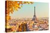 View on Eiffel Tower at Sunset, Paris, France-S Borisov-Stretched Canvas