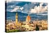 View on Florence and Duomo Cathedral, Italy-sborisov-Stretched Canvas