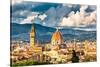 View on Florence and Duomo Cathedral, Italy-sborisov-Stretched Canvas