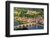 View on Heidelberg, Germany-sborisov-Framed Photographic Print