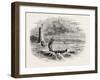 View on Lake Ontario, North America, USA, 1870s-null-Framed Giclee Print