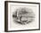 View on Lake Ontario, North America, USA, 1870s-null-Framed Giclee Print