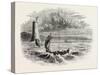 View on Lake Ontario, North America, USA, 1870s-null-Stretched Canvas