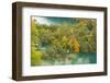 View on Lower Lakes in Autumn, Plitvice Lakes Np, Croatia, October 2008-Biancarelli-Framed Photographic Print