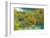 View on Lower Lakes in Autumn, Plitvice Lakes Np, Croatia, October 2008-Biancarelli-Framed Photographic Print