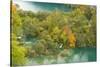 View on Lower Lakes in Autumn, Plitvice Lakes Np, Croatia, October 2008-Biancarelli-Stretched Canvas