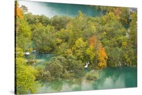 View on Lower Lakes in Autumn, Plitvice Lakes Np, Croatia, October 2008-Biancarelli-Stretched Canvas