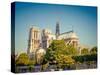 View on Notre Dame De Paris, Paris, France-sborisov-Stretched Canvas